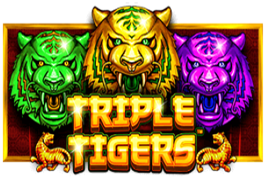 Triple Tigers