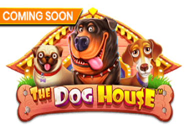 The Dog House